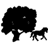 Willow Hill Farm Camp
