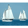 Windward Bound Tall Ship Voyages