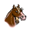 Blue Streak Stables Horsemanship Camps